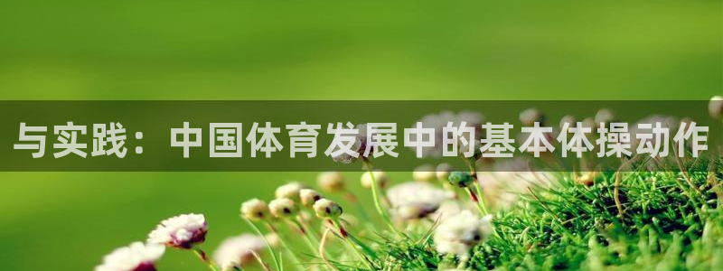 与实践：中国体育发展中的基本体操动作
