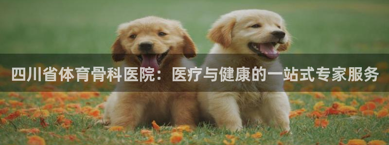四川省体育骨科医院：医疗与健康的一站式专家服务