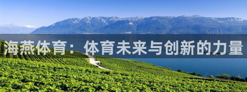 海燕体育：体育未来与创新的力量