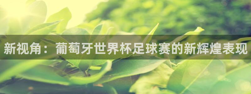 新视角：葡萄牙世界杯足球赛的新辉煌表现