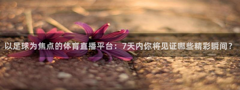 以足球为焦点的体育直播平台：7天内你将见证哪些精彩瞬间？