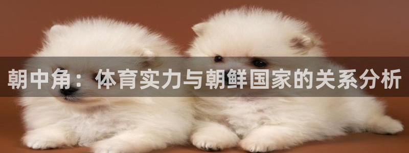 朝中角：体育实力与朝鲜国家的关系分析