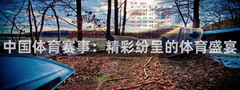 中国体育赛事：精彩纷呈的体育盛宴