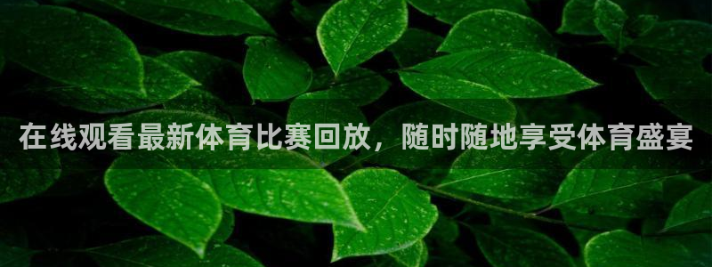 在线观看最新体育比赛回放，随时随地享受体育盛宴
