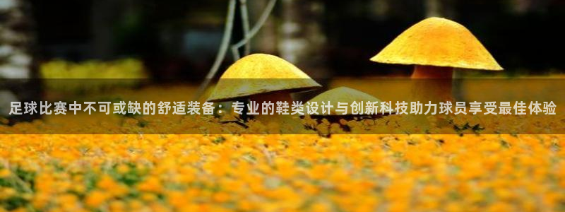 足球比赛中不可或缺的舒适装备：专业的鞋类设计与创新科技助力球员享受最佳体验