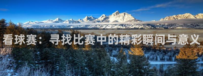 看球赛：寻找比赛中的精彩瞬间与意义